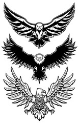 Naklejka premium eagles