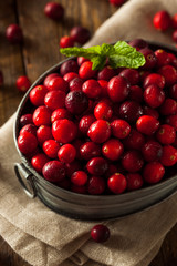 Raw Organic Red Cranberries