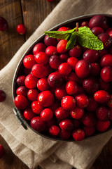 Raw Organic Red Cranberries