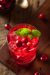 Homemade Boozy Cranberry Cocktail