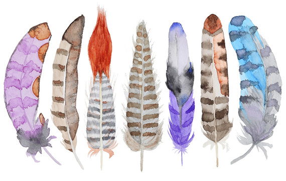 Watercolor feathers set