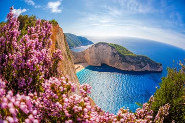 Poster de jardin Plage tropicale Navagio beach with shipwreck and flowers against sunset, Zakynthos island, Greece