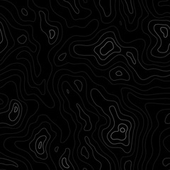 Topographic Map Seamless Pattern. Vector Background