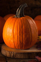 Raw Organic Pie Pumpkins