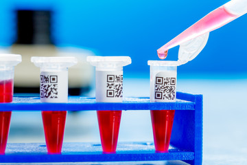 PCR strip test tubes and micropipette in genetics laboratory