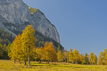 Fototapeta na wymiar Goldener Herbst im Karwendel