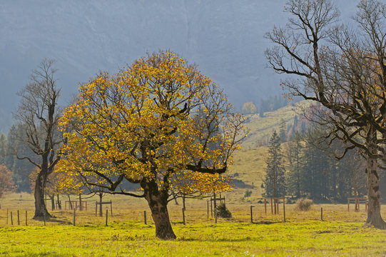 Goldener Herbst im Karwendel