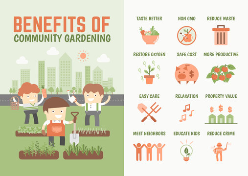 infographics  about benefits of community gardening