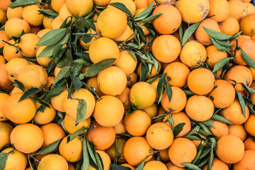 Viele Orangen