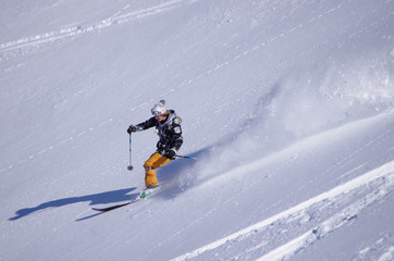 freeride en poudreuse - monoski