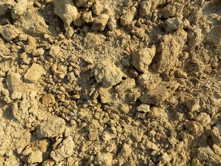 Soil texture