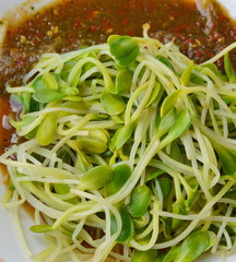 soft boiled sunflower sprouts dressing Thai spicy sauce on dish