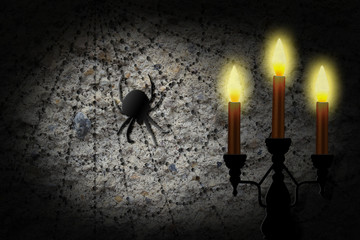 Spider on a web silhouetted by candle light. 