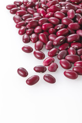 金時豆　Red kidney bean
