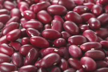 金時豆　Red kidney bean
