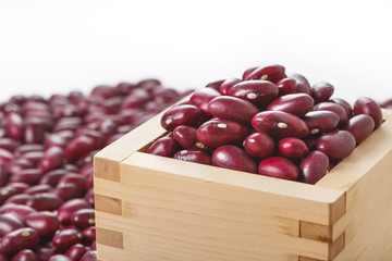 金時豆　Red kidney bean
