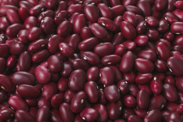 金時豆　Red kidney bean
