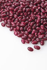 金時豆　Red kidney bean
