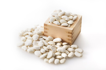 白花豆　Scarlet runner bean