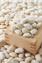 白花豆　Scarlet runner bean