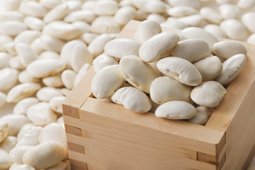 白花豆　Scarlet runner bean