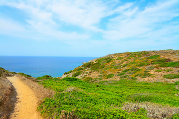 plants and footpath in Sardinia