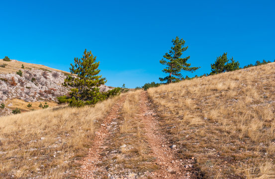 Landscape with earth road on Babuhan Yaila natural reserve in Crimean peninsula