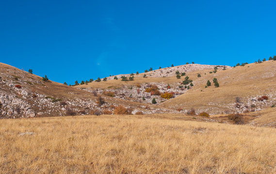 Autumnal landscape with Babuhan Yaila natural reserve in Crimean peninsula