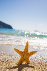Fototapeta na wymiar Starfish on Porto Katsiki beach on Ionian Sea Lefkada