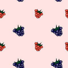 Set of sweet patterns. Seamless backgrounds with raspberries. Ve