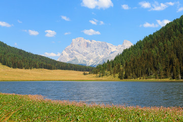 Beautiful alpine panorama