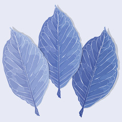 Fototapeta premium Realistic leaves vector illustration. Autumn frozen fallen leaves.