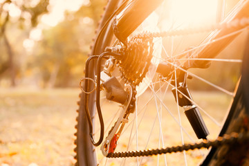 Close up of a Bicycle rear wheel with details, chain and gearshift mechanism, in morning sunlight.