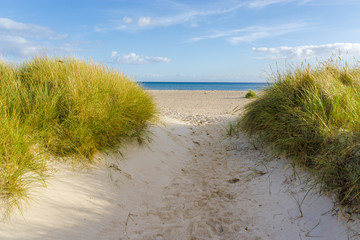 Zugang durch die Dünen zum Ostsee Strand
