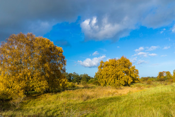 Herbststimmung mit blauem Himmel