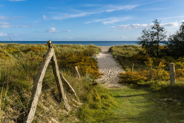 Zugang durch die Dünen zum Ostsee Strand