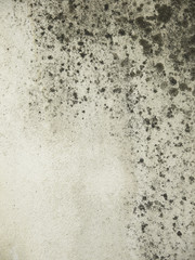 grunge moldy walls