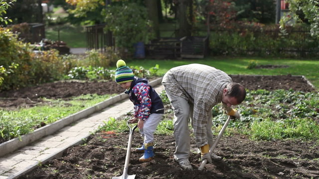 Father and son, digging and shoveling in the garden autumn time, father showing his young boy how to work in backyard