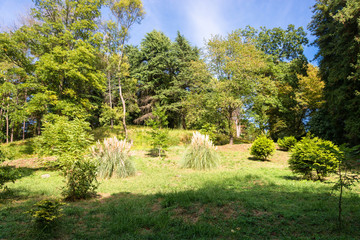 Fototapeta premium In the Park-the arboretum of Sochi.