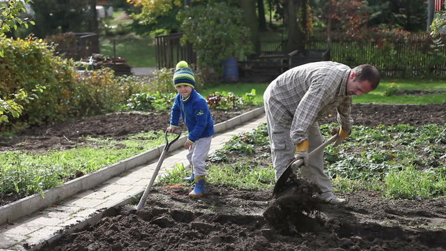 Father and son, digging and shoveling in the garden autumn time, father showing his young boy how to work in backyard