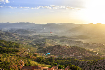 gliders flying over a landscape of olive trees