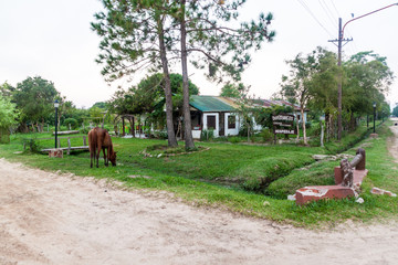 Fototapeta na wymiar Horse on a dust road and a gusethouse in Colonia Carlos Pellegrini in Esteros del Ibera, Argentina