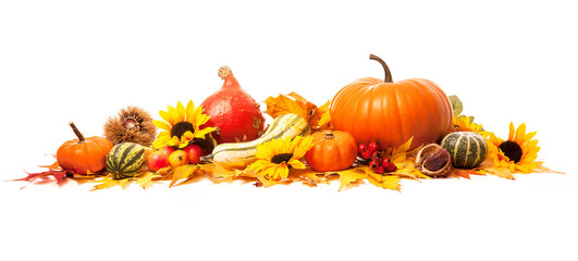 Autumn decoration. Thanksgiving background