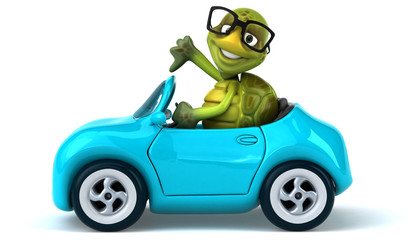 Fun turtle