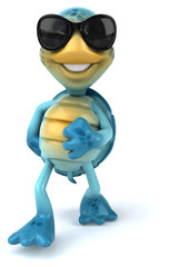 Fun turtle