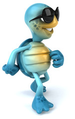 Fun turtle