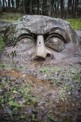 Fototapeta na wymiar The stone head in the forest park of Peterhof. St. Petersburg. R