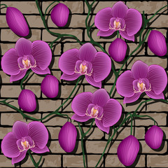 Seamless pattern with orchids