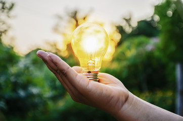 light bulb from sunset on hand concept