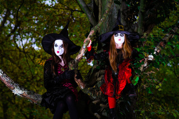 Two witches sitting on the tree